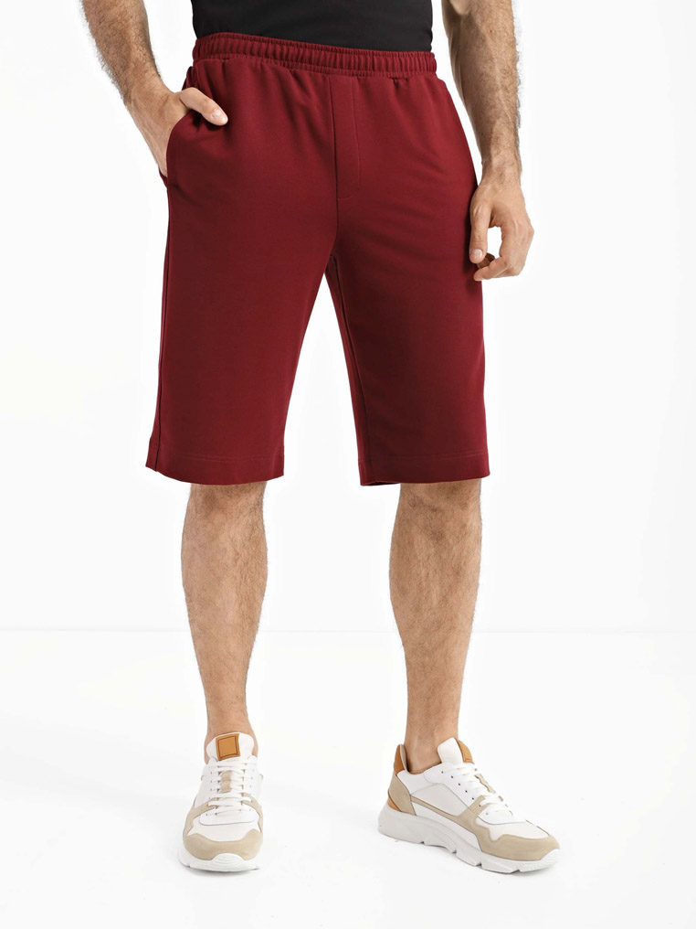 Shorts, vendor code: 1090-11.1, color: Burgundy