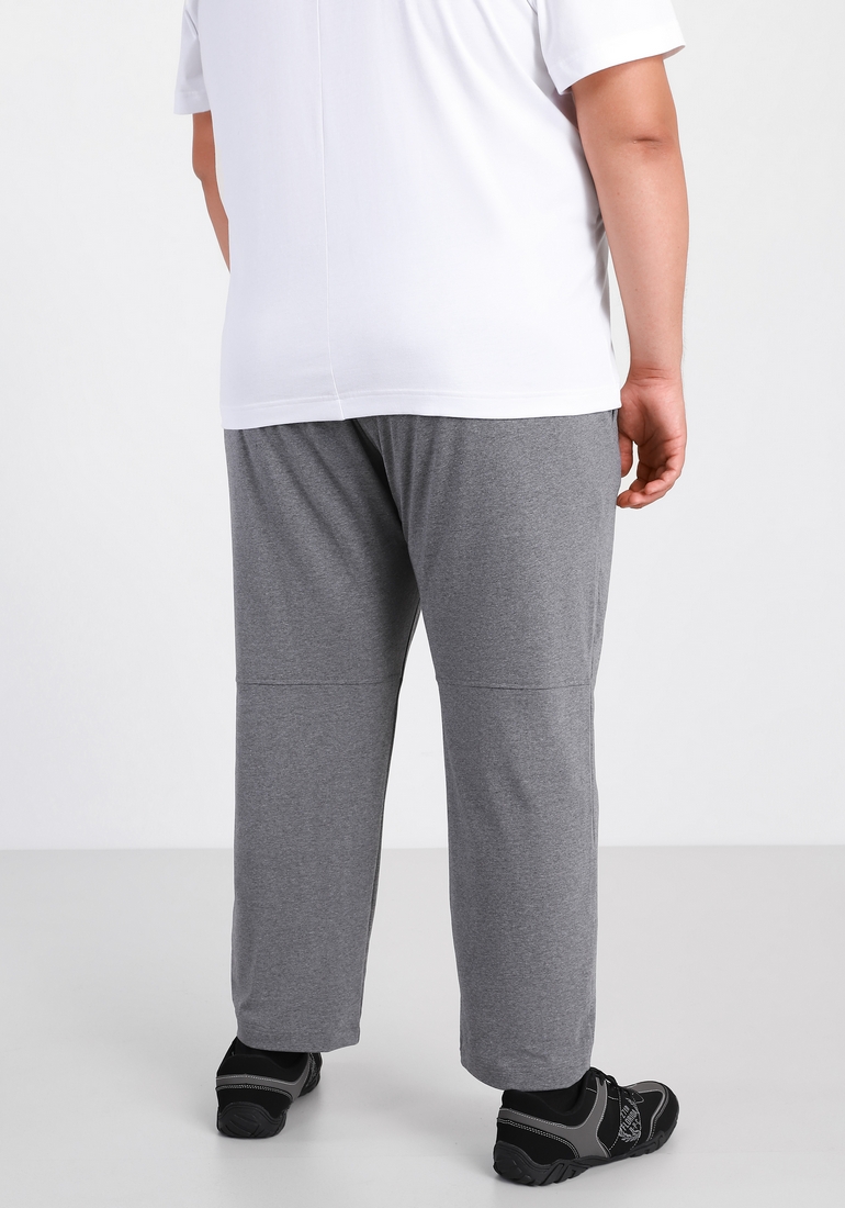 Pants, vendor code: 1140-03, color: Dark gray melange