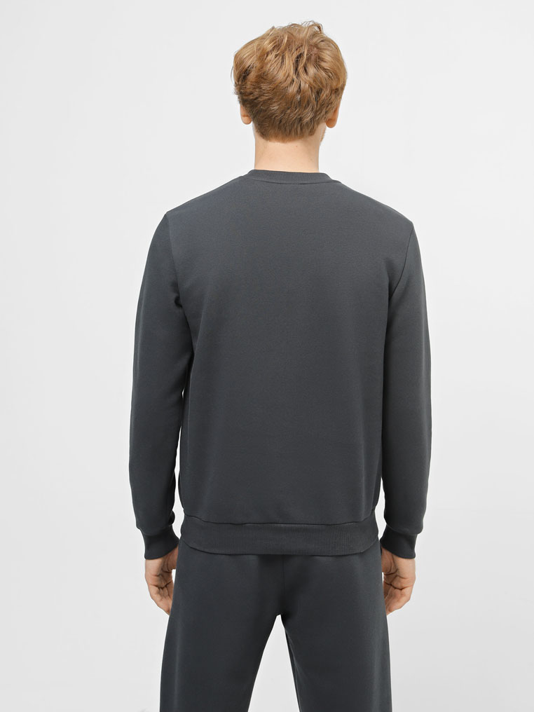 Sweatshirt warmed, vendor code: 1920-01, color: Dark grey