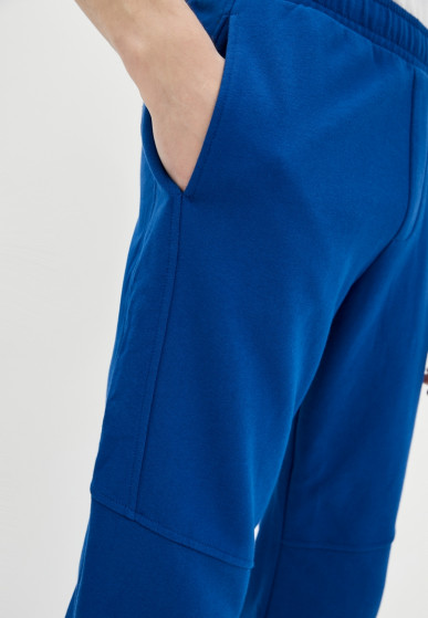 Pants, vendor code: 1040-34.2, color: Blue