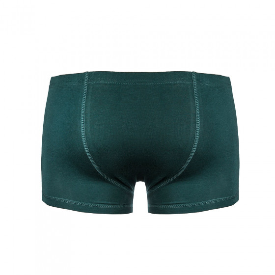 Panties, vendor code: 3191-01, color: Dark green
