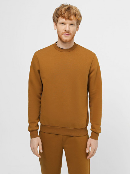 Sweatshirt warmed, vendor code: 1920-01, color: Umber
