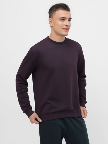 Sweatshirt, vendor code: 1920-02, color: Plum