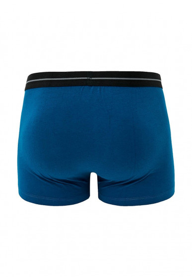 Underpants, vendor code: 1091-07, color: Blue