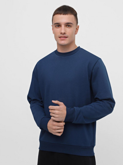 Sweatshirt, vendor code: 1920-02, color: Blue