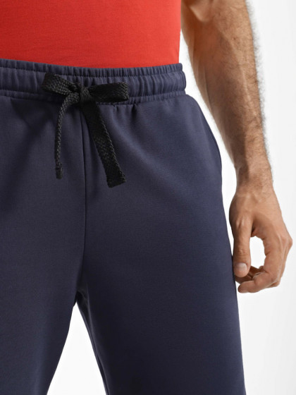 Shorts, vendor code: 1090-10.1, color: Dark blue