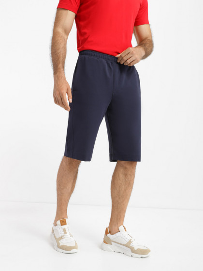 Shorts, vendor code: 1090-11.1, color: Dark blue