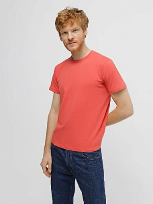 T-shirt color: Dark salmon