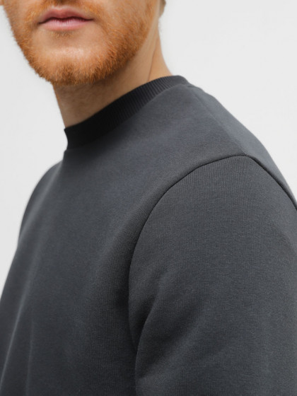 Sweatshirt warmed, vendor code: 1920-01, color: Dark grey