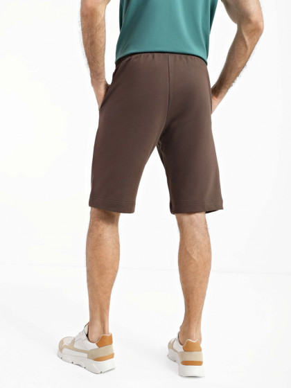 Shorts, vendor code: 1090-10.1, color: Brown