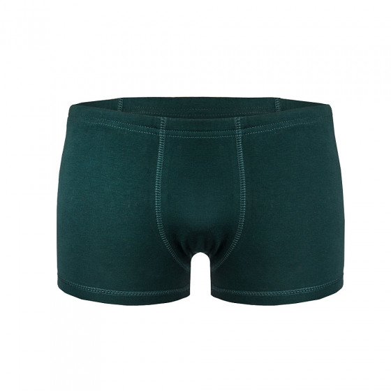 Panties, vendor code: 3191-01, color: Dark green