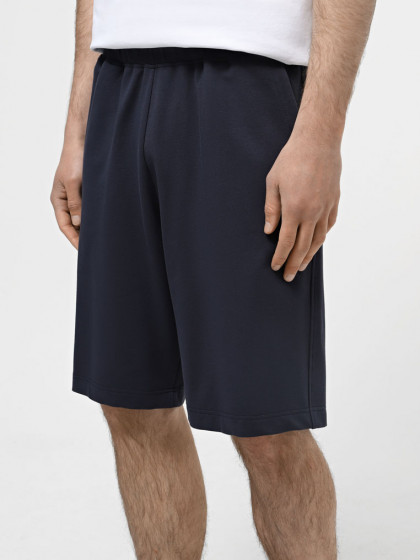 Shorts, vendor code: 1090-19, color: Dark blue