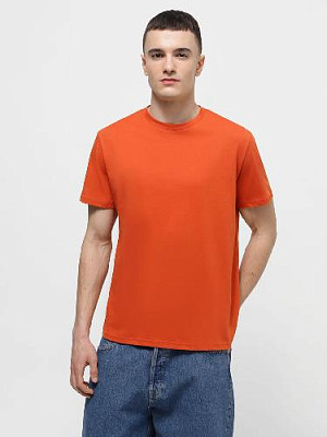 T-shirt color: Ocher