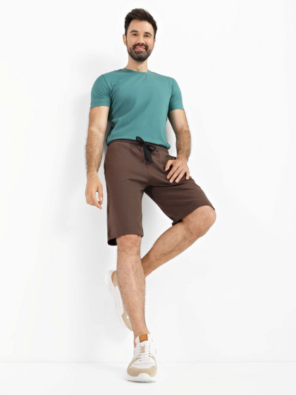 Shorts, vendor code: 1090-10.1, color: Brown