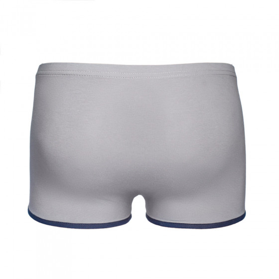 Underpants, vendor code: 3191-02, color: Gray