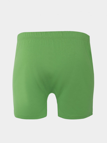 Panties, vendor code: 1991-02, color: Herbal green