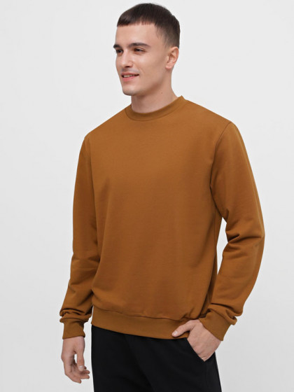 Sweatshirt, vendor code: 1920-02, color: Umber