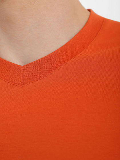V-neck T-shirt, vendor code: 1912-06, color: Ocher