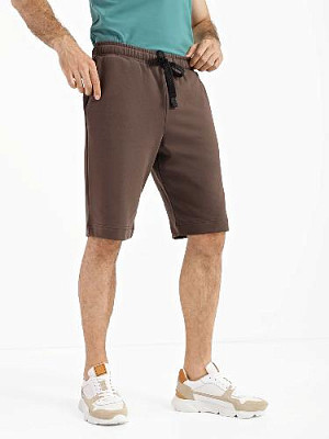 Shorts color: Brown