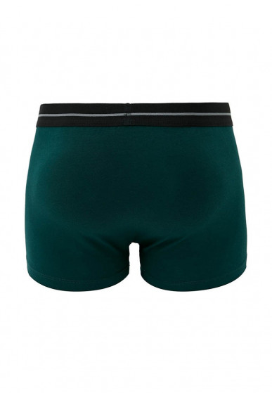 Underpants, vendor code: 1091-07, color: Dark green