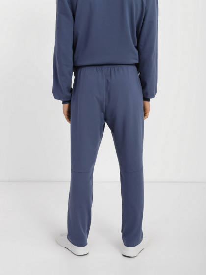Pants, vendor code: 1040-48, color: Blue-gray