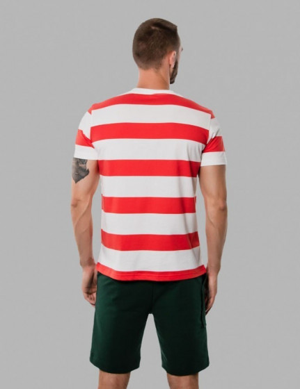 Striped T-Shirt, vendor code: 1012-01, color: White / Red