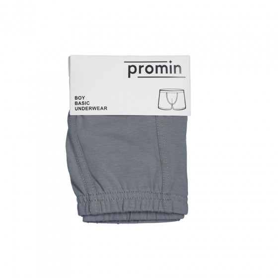 Underpants, vendor code: 3191-02, color: Gray