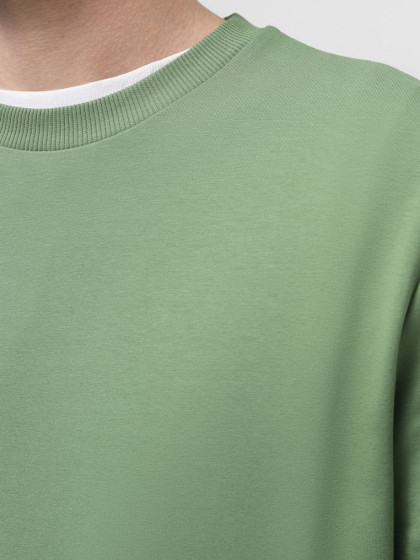 Sweatshirt, vendor code: 1920-03, color: Herbal green