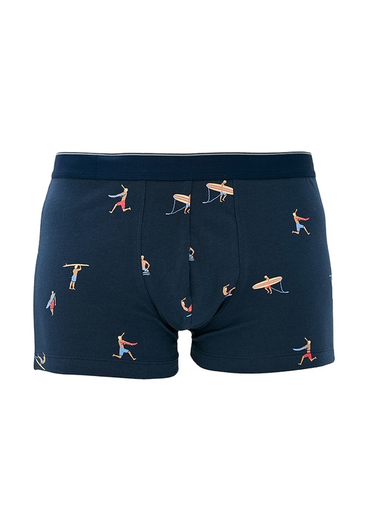 Briefs