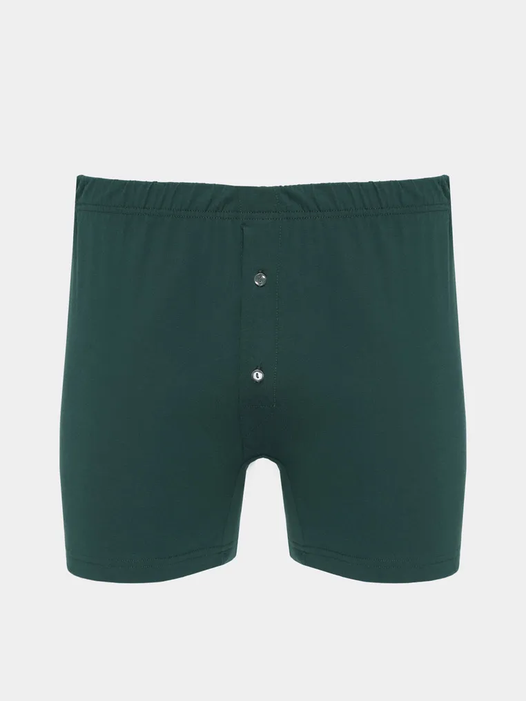 Briefs