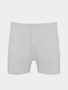 Briefs