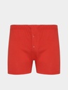 Briefs