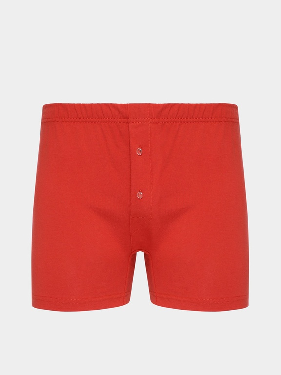 Briefs