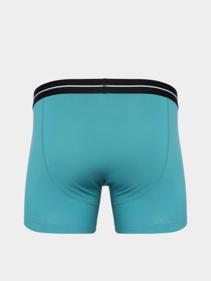 Boxer briefs, vendor code: 1091-10, color: Turquoise